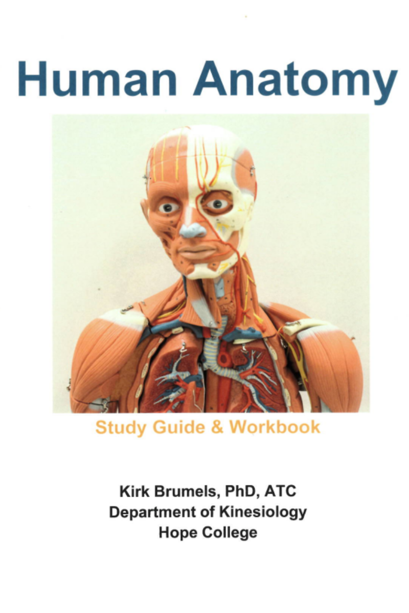 Coursepack - Human Anatomy Workbook and Study Guide